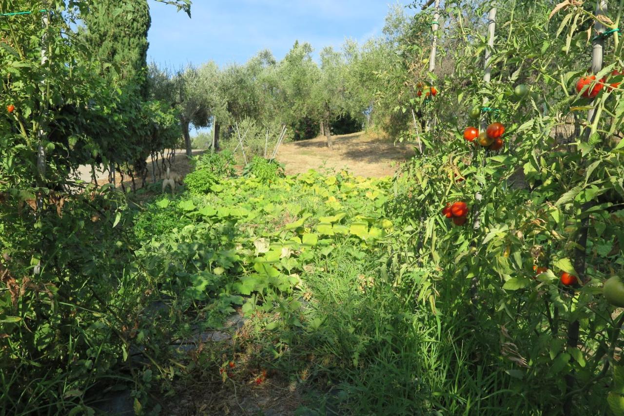 Banks 1 Villa Vezzano Ligure Eksteriør billede