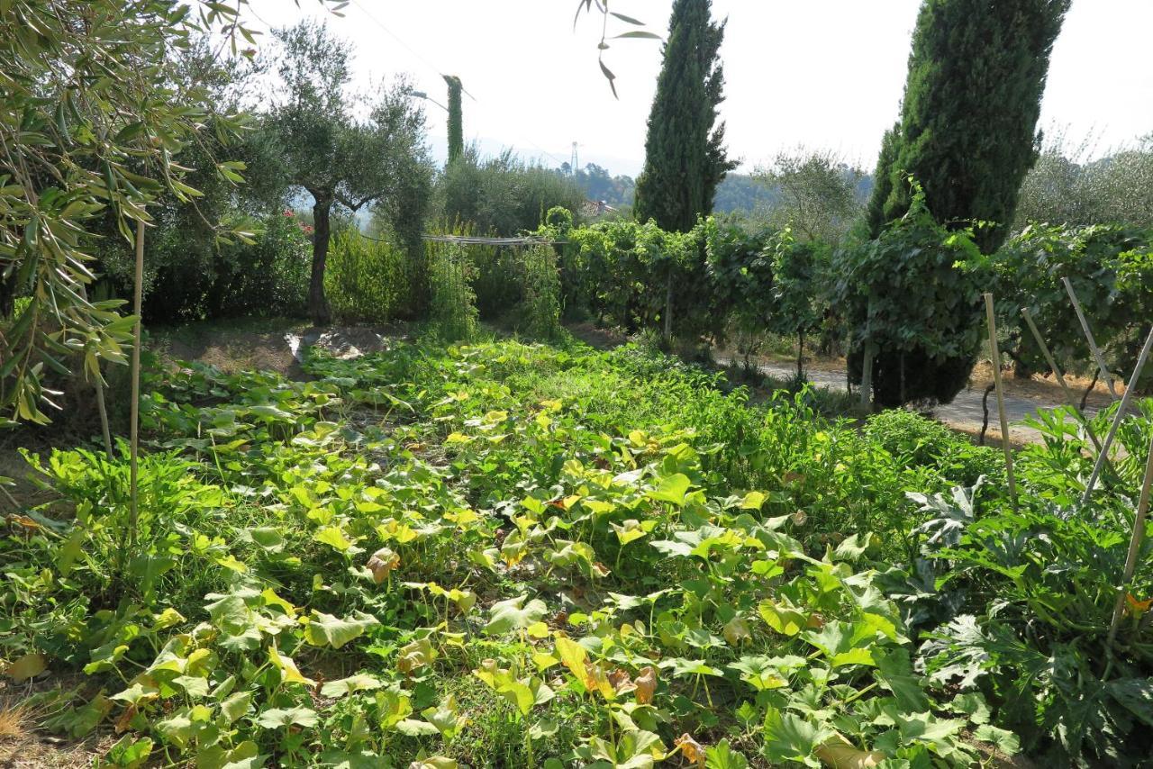 Banks 1 Villa Vezzano Ligure Eksteriør billede