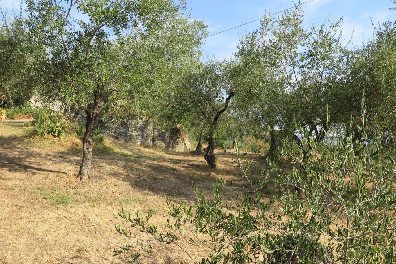 Banks 1 Villa Vezzano Ligure Eksteriør billede