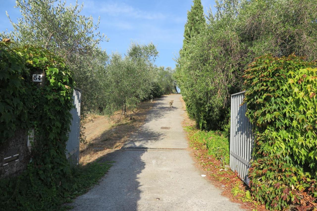 Banks 1 Villa Vezzano Ligure Eksteriør billede